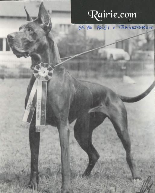 CH INT ES 76 Aggi von Trabersuh