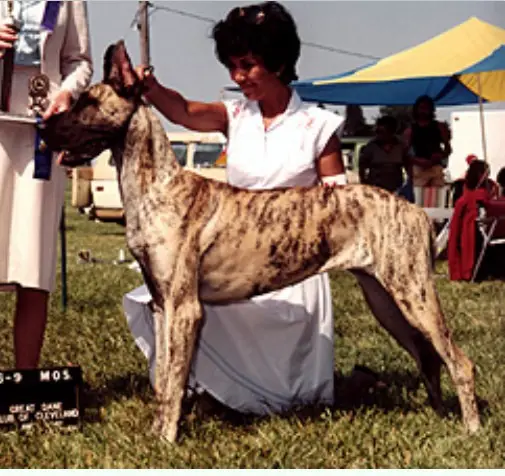 Sharcon's Dana Von Diller