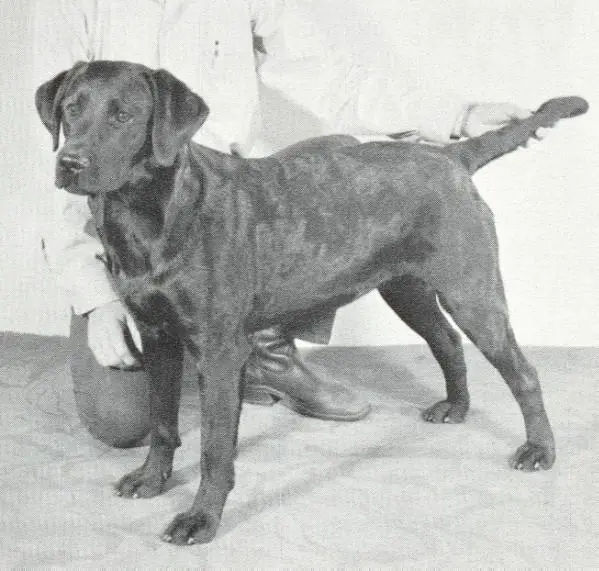 WC CH (US/CAN) Monarchs Barnaby Jewel