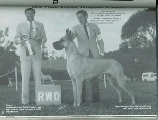 CH Sds Plain Brown Wrapper V Rika