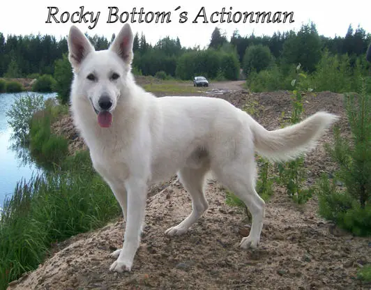 Rocky Bottom`s Actionman