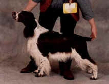 Calvdale Contraband