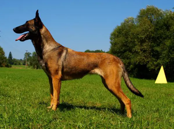 V Ester pod Cvilínem