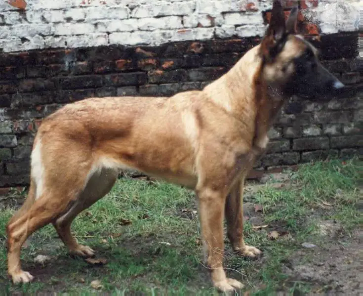 Quenny NVBK 12890 (Eric Vermeylen)