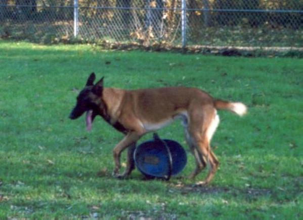 Stan des Contes d'Hoffmann