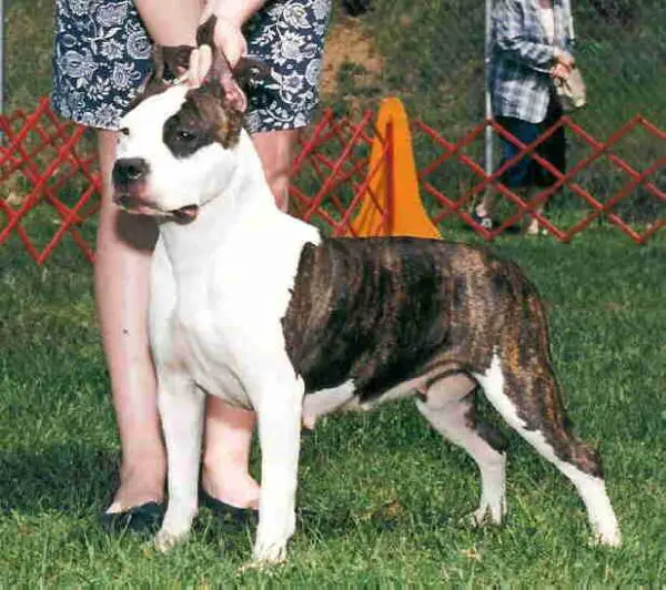 CH Storytime's Without A Trace