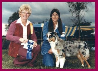 Timberlines Holy Terror