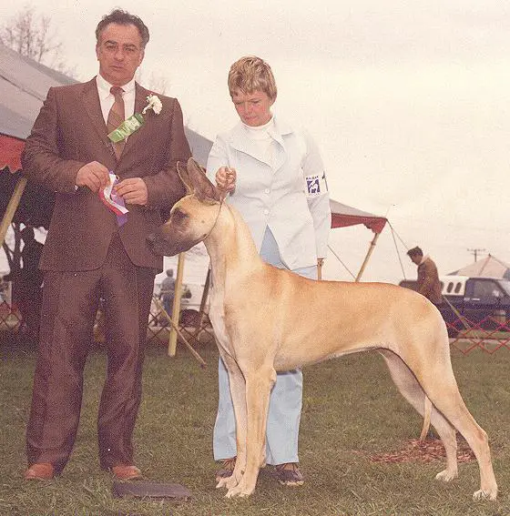 CH Von Shrado's Easter Bonnet