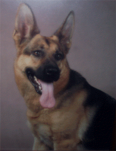 Bessy vom Karl-Peter-Eck