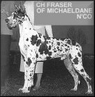 CH Fraser of Michaeldane N'co