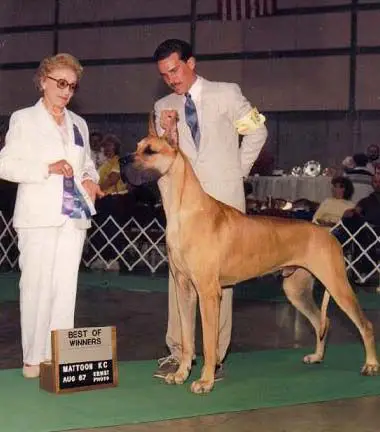 CH Lost Creek's Lazarus