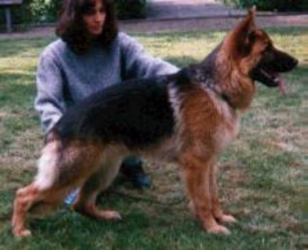 V Diego von Pallas Athene