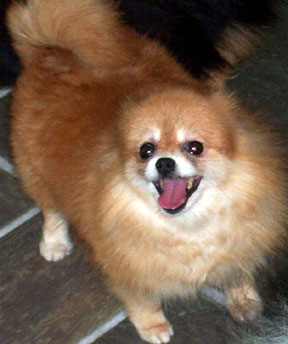 Clairmont's Little Juanita