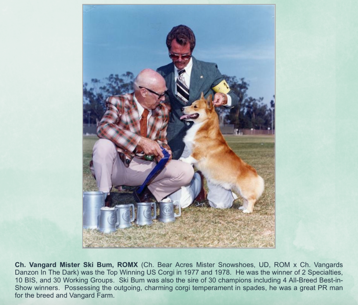 CH Vangard Mister Ski Bum