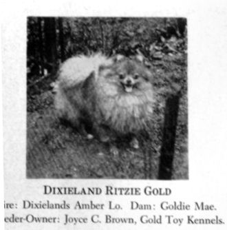 Dixieland's Ritzie Gold