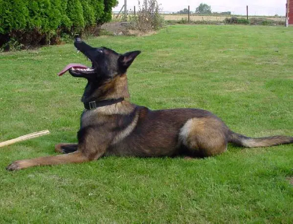 Tacco du Haut de l'Arize