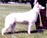 Hoofprint Eve of Ve-Lin's