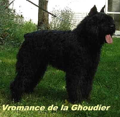 Vromance de la Ghoudier