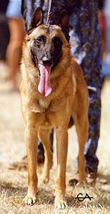 RECOMMANDE C.F.C.B.B Lift de la Terre Aimée