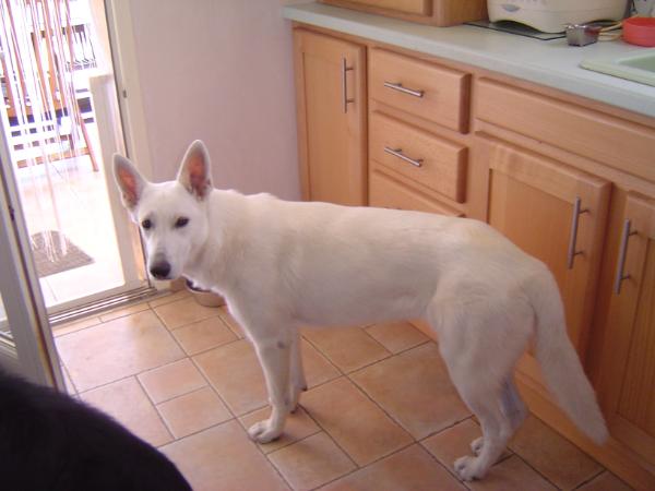 Fiona Witte Duivels Domein