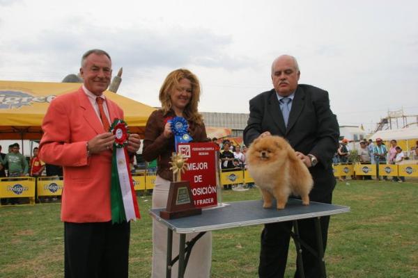 AMCOLWORLD2007 CH Finch's Dream of Jacinda