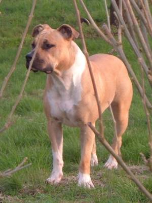 Utopia des Freedom Forever