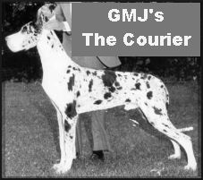 Gmj's the Courier
