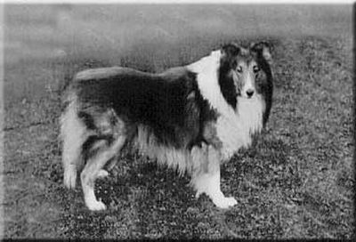 Anfield Model 104173 vXXIV