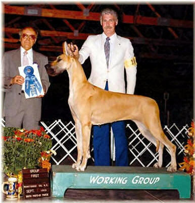 BIS BISS CH Rojon's Rumor Has It