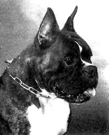 SUI.CH Cliff vom Falknisblick