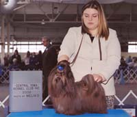 Bayli Gremallens Yu-Mei's Balli Irish Cream