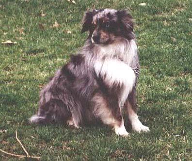 Ploen's Blaze N Guns