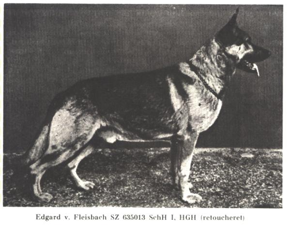 Edgard vom Fleisbach