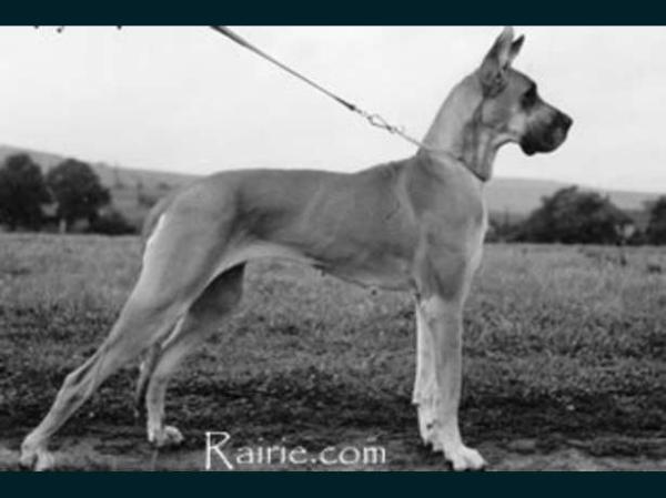 Baja Trutz und Treue