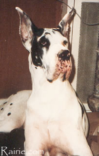 CH (IB) Pilly de Morjasgan