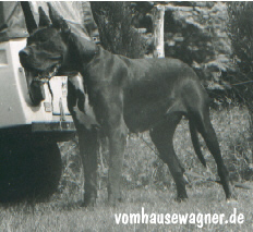 Ullan de la Grisonniere