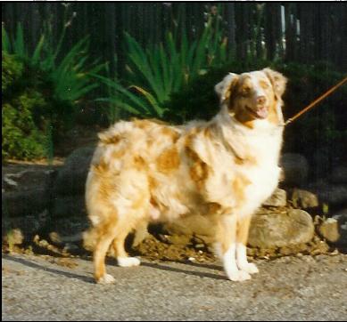 Double Delite of Heatherhill