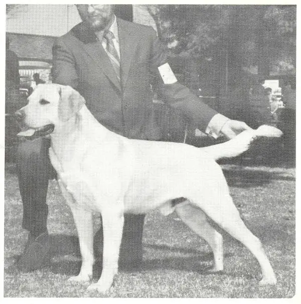 Ch. WC Barnaby O'Brian