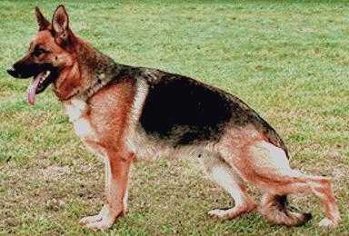 Oletta vom Mönchberg