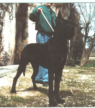 CH FR. Ephebe des Terres de la Rairie