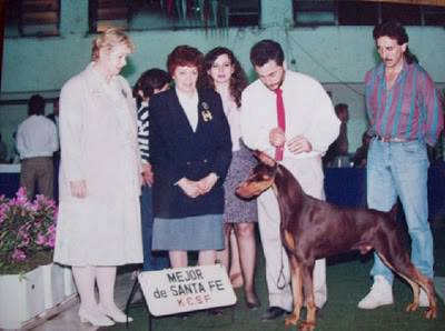 Eliot Ness Del Nebeso