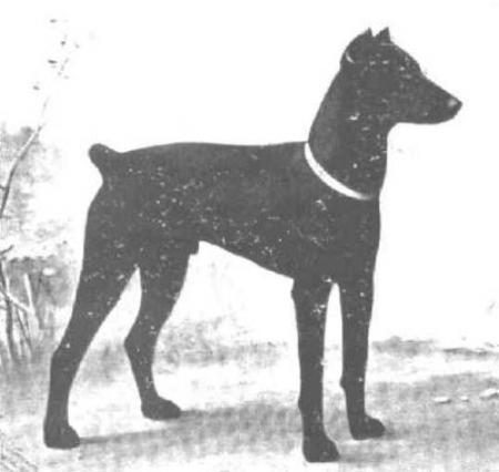 Theo von der Funkenburg
