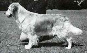 Kerrien Calypso of Paudell
