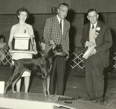 Am. Ch. Can. Ch. Mex. Ch. Sultana Von Marienburg