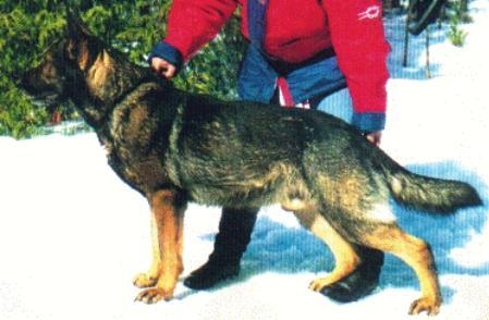 Hyro von der Unteren Saar