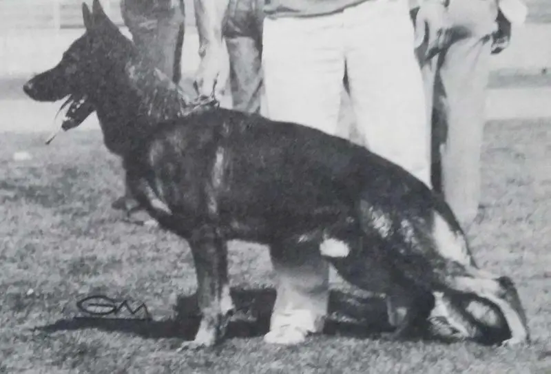 V Cay von den Treiser Höhlen