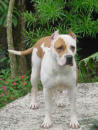 Brigith Bardot New Kraftfeld