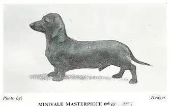 Minivale Masterpiece