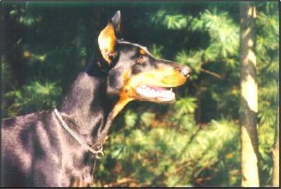 Camilla Von Kaiserhaus