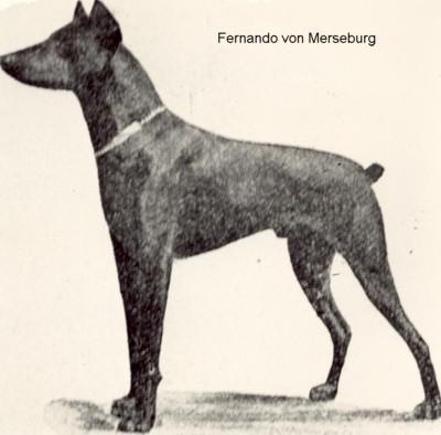Fernando von Merseburg
